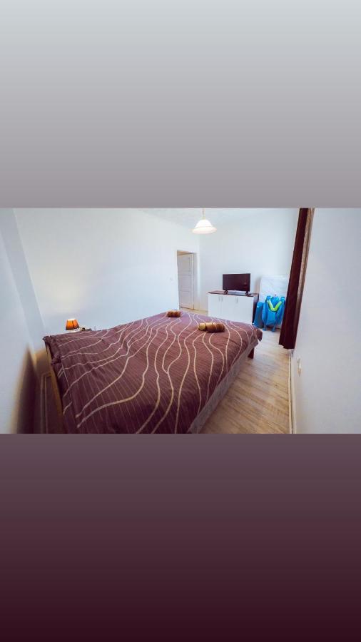 Apartmani Trajkovic Sokobanja Eksteriør billede